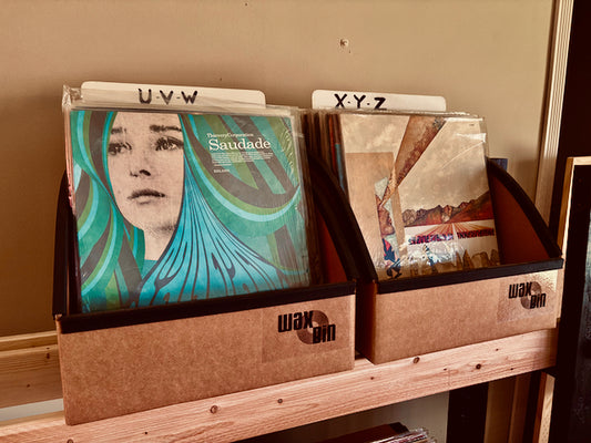Wax Bin Tabletop 2 Pack (Capacity:100 records)